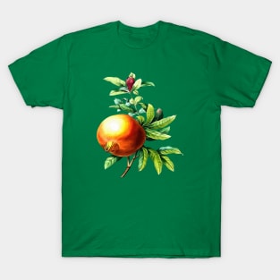 Pomegranate Autumn Botanical Vector Art T-Shirt